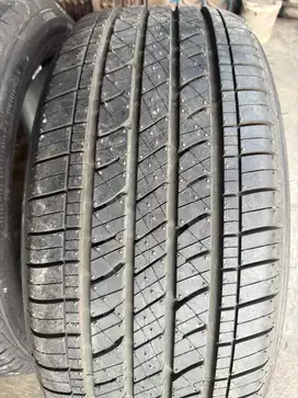 Ban Brston Duller HP R.20