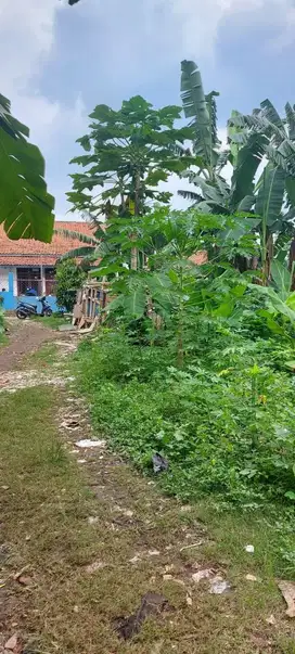 Tanah Kavling Luas di Dekat Perumahan Pemda Jatiasih Bekasi