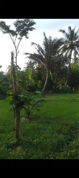 Tanah dgn lokasi strategis