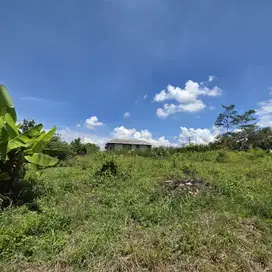 Kavling 132 m² Lingkungan Ramai & Akses Kampus