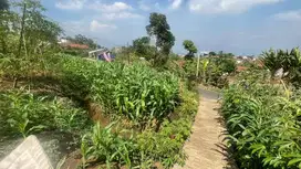 Dijual Cepat! Tanah Pinggir Jalan