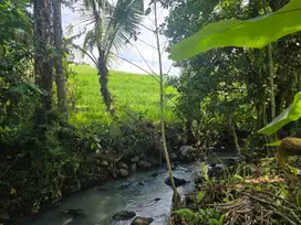 Dijual tanah los sungai dan view sawah cantik di penebel tabanan bali