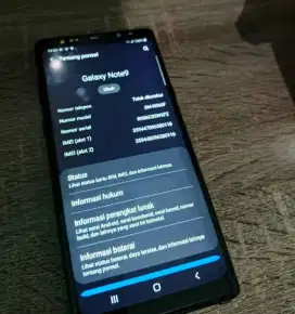 Samsung note 9 ex sein 6/128gb