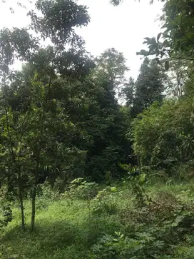 TANAH DIJUAL CEPAT – 6.295 m