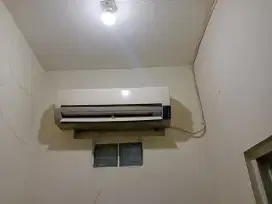 Ac sharp 1/2 pk