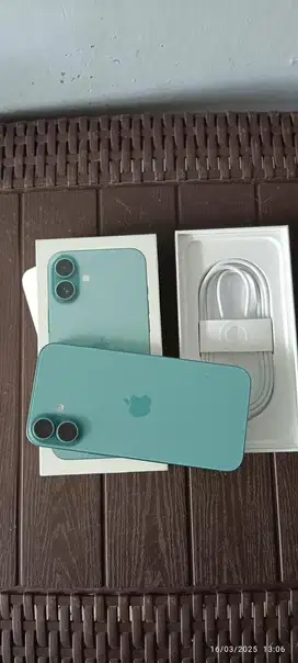iphone 16 plus 256