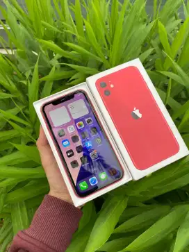 Iphone 11 64gb all op full set