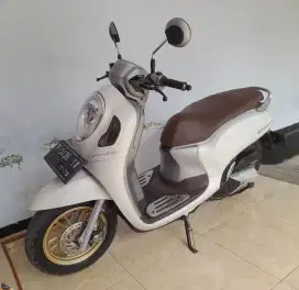 Honda scoopy 2021