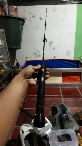 Joran pancing spinning Berkley