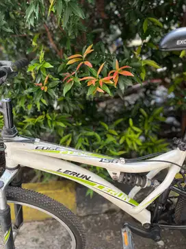 Polygon LeRun Putih (Double Suspension)