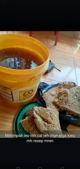 Madu murni dari hutan