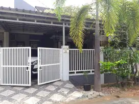 JUAL CEPAT RMH LT 144 LB 100 CLUSTER ARALIA