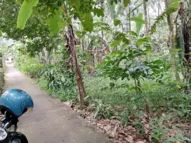Di jual Tanah kebon