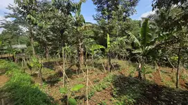 DIJUAL TANAH TANPA PERANTARA SHM LUAS TOTAL 4732m² HARGA /METER 2.5jt