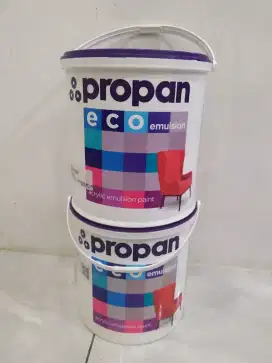 Cat tembok propan emulsion 5kg
