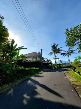 Tanah Bonus Rumah Etnik View Merapi dan Persawahan