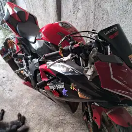 KAWASAKI NINJA 250 MONO