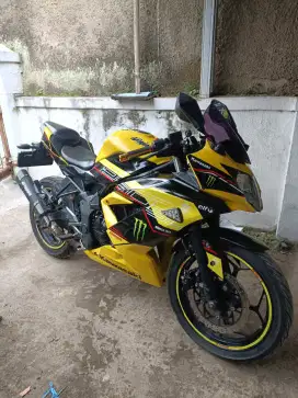 Ninja Mono 2014