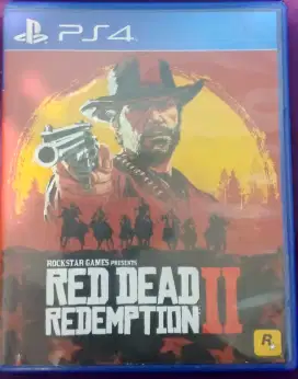 BD Red Dead Redemtion 2 PS4