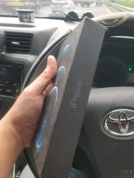 Iphone 12 promax Mulus 256