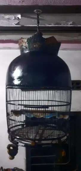 Sangkar burung perkutut kayu dempul