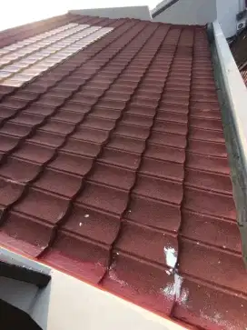 Jasa tukang perbaikan atap bocor dinding dak rembes talang air cat dll