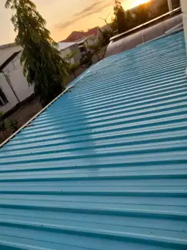 Jasa tukang perbaikan atap bocor dinding dak rembes talang air cat dll
