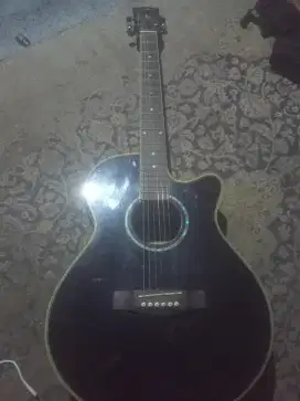 Guitar Legacy Akustik Electrik