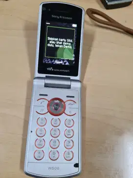 Sony ericsson W508