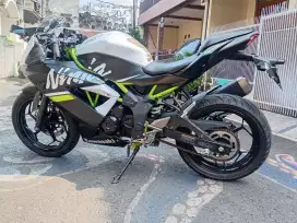 Kawasaki Ninja 250 Mono