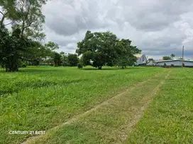 Tanah Kavling Siap Bangun Di Cluster Mewah Tanjung Bunga Makassar
