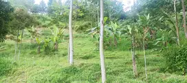 Jual Tanah Murah cocok agrowisata