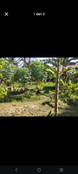 Di Jual Tanah Pal Merah Lamo