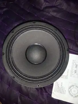 SPEAKER 10 INCH JAR-10HF156