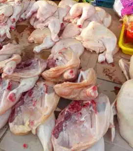Ayam potong atau fillet