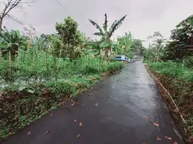 Tanah murah kemuning
