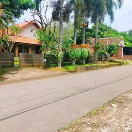 Rumah Mewah Klasik Halaman Luas di Grafika Raya Banyumanik Semarang