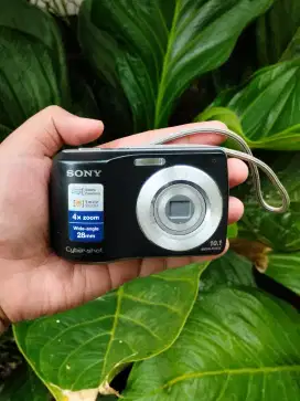 Kamera Digital Sony Cyber-shot DSC-S3000 (Body+Lens Only, Mati Total)