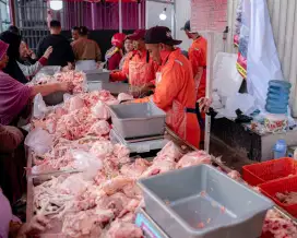 AYAM POTONG MURAH HARGA GROSIR, BOLEH BELI ECERAN DAN PARTAI(TERMURAH)