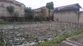Jual Tanah Cihanjuang Bandung Barat 105 meter dekat universitas advent