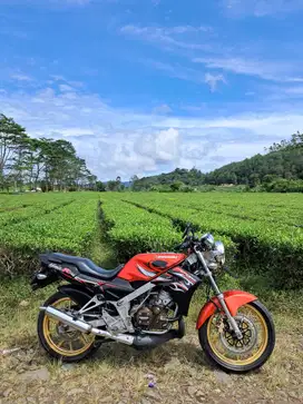 Ninja R asli orange tahun 2013
