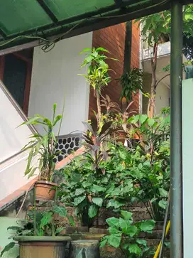 Dijual Rumah siap huni di Pondok Indah