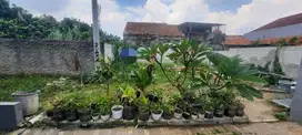 Tanah Kavling Siap Bangun dalam Cluster Pamulang