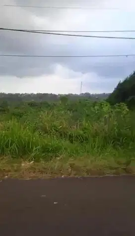 TANAH DIJUAL WAHIR PINGGIR JALAN RAYA