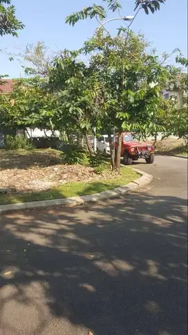 Tanah kavling Deltamas Cikarang Cluster Caribbean Luas 256 Meter
