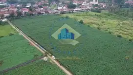 Jual Tanah di Jalan Putat Nutug, Ciseeng - Bogor, Jawa Barat