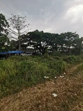 Tanah Pandawangi Sulfat Malang Jawa Timur