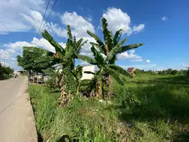 Cuma 350 Juta! Tanah Pinggir Jalan Talang Jambe Dekat Bandara!
