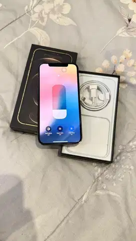 Dijual Iphone 12 Pro 256GB Graphite Lengkap Terdaftar