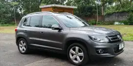 VW Tiguan dan Willy's